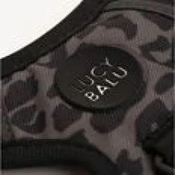 LucyBalu Explorer kattsele Leo M/L