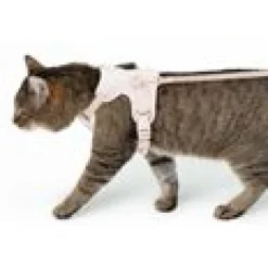 LucyBalu Explorer kattsele Rosé Hello Kitty M/L
