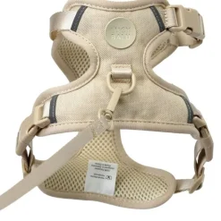 LucyBalu Explorer kattsele Sand XS/S