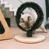 Massagborste Ring Björkträ