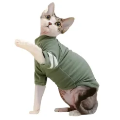 Moorspet Katttröja T-Shirt Grön