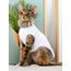 Moorspet Sphynx & Rex Kattsweater winter Vit