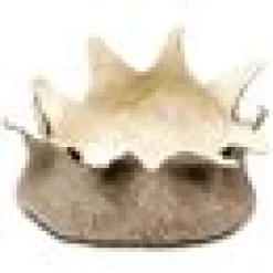 Natural Wool Blossom Basket S