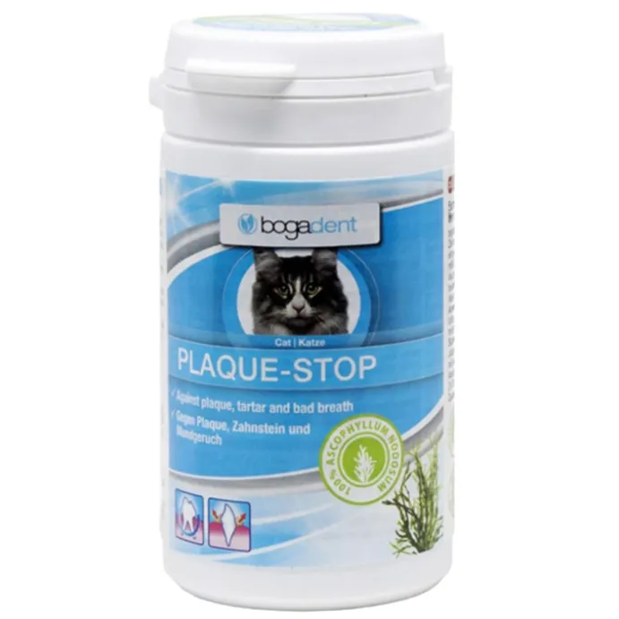 PLAQUE-STOP (100% A.NODOSUM) KATT BOGADENT