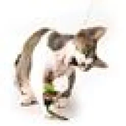 Profeline - Chameleon Attachment
