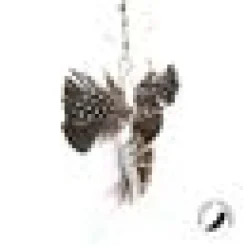 Profeline - Exotic Butterfly Refill