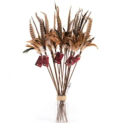 Profeline Federwedel / Cat Teaser Pheasant Feather