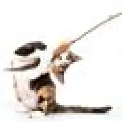 Profeline Federwedel / Cat Teaser Pheasant Feather
