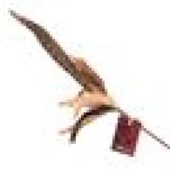 Profeline Federwedel / Cat Teaser Pheasant Feather