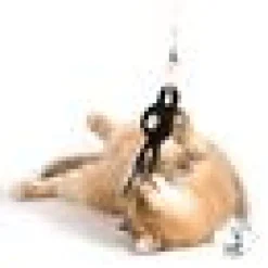Profeline - KettleBell Swing