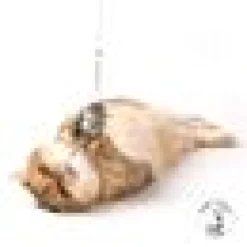 Profeline - Nibbles the WoolMouse Refill