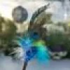 Profline Vippa Peacock Dancer