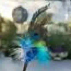 Profline Vippa Peacock Dancer