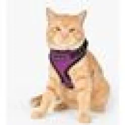 PUPPIA RITEFIT KATTSELE Lila