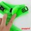 PUPPIA RITEFIT KATTSELE NEON GRÖN S
