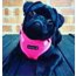 PUPPIA RITEFIT KATTSELE NEON ROSA S