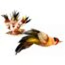 Purrs Goldfinch Bird refill