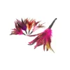 Purrs Rooster Fluffer refill