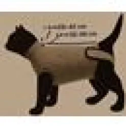 Skyddande body för katt