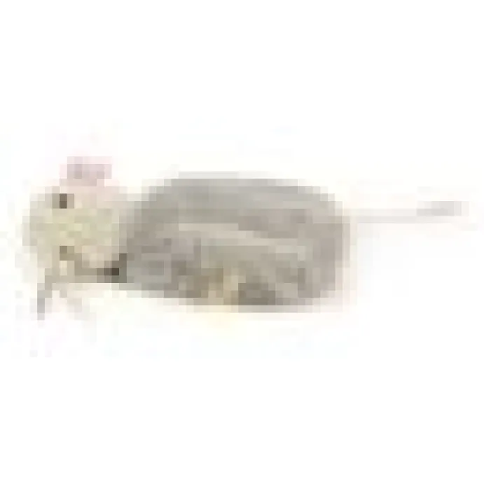 SMARTYKAT MADCAP MANIA M. CATNIP