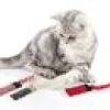 SMARTYKAT SILLY STIX
