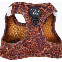 Step in kattsele Leopard