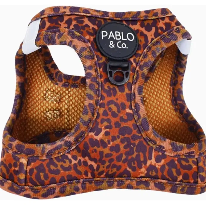 Step in kattsele Leopard