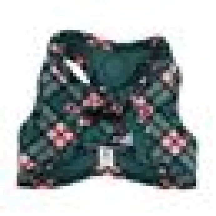 Step in kattsele Patchs Plaid