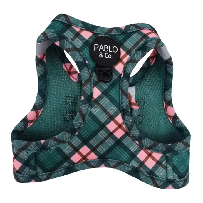 Step in kattsele Patchs Plaid