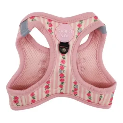 Step in kattsele Vintage Rose