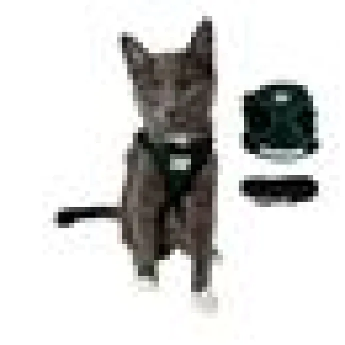 Travel Cat Komfortabel Kattsele Grön