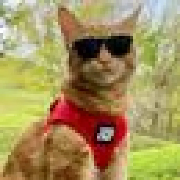 Travel Cat Komfortabel Kattsele Röd