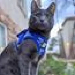 Travel Cat Komfortabel Kattsele Tie Dye Limited Edition