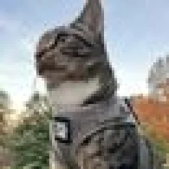 Travel Cat Komfortabel Kattsele Grå