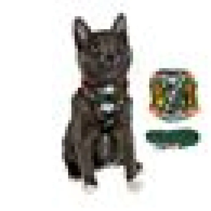 Travel Cat Komfortabel Kattsele Hawaiian