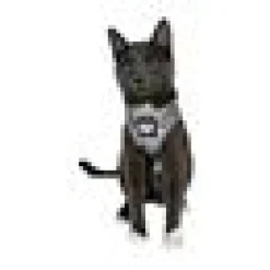 Travel Cat Komfortabel Kattsele Cash katt