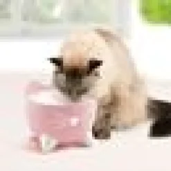 Vattenfontän Pixi Rosa 2,5L