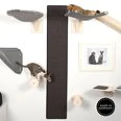 Wall - Climbing Carpet