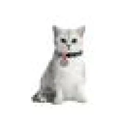 WAUDOG Katthalsband Indie