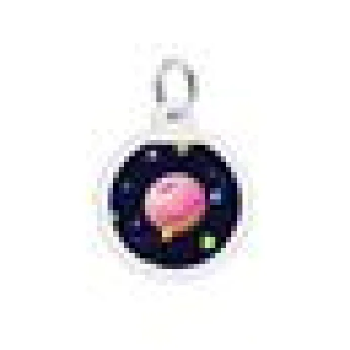 WAUDOG Smart ID Donut universum